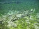 Thumbs/tn_Clear Lake 009.jpg